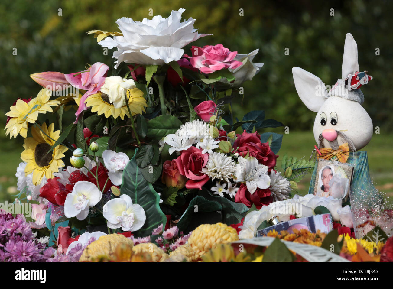 Flores y jardín Fotos e Imágenes de stock - Alamy