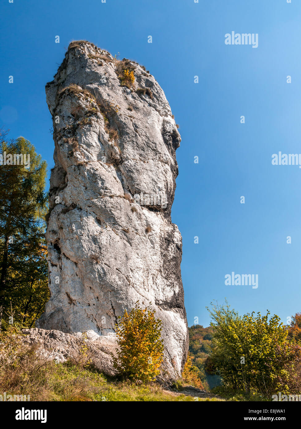 Formación de roca caliza llamada Mandarria de Hércules o Maczuga Herkulesa, Pieskowa Skala en el área de Krakow-Czestochowa Upla Foto de stock