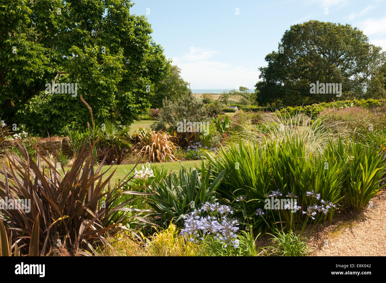 La frontera monocotiledóneas en los jardines de Mottistone Manor en la Isla de Wight. Foto de stock