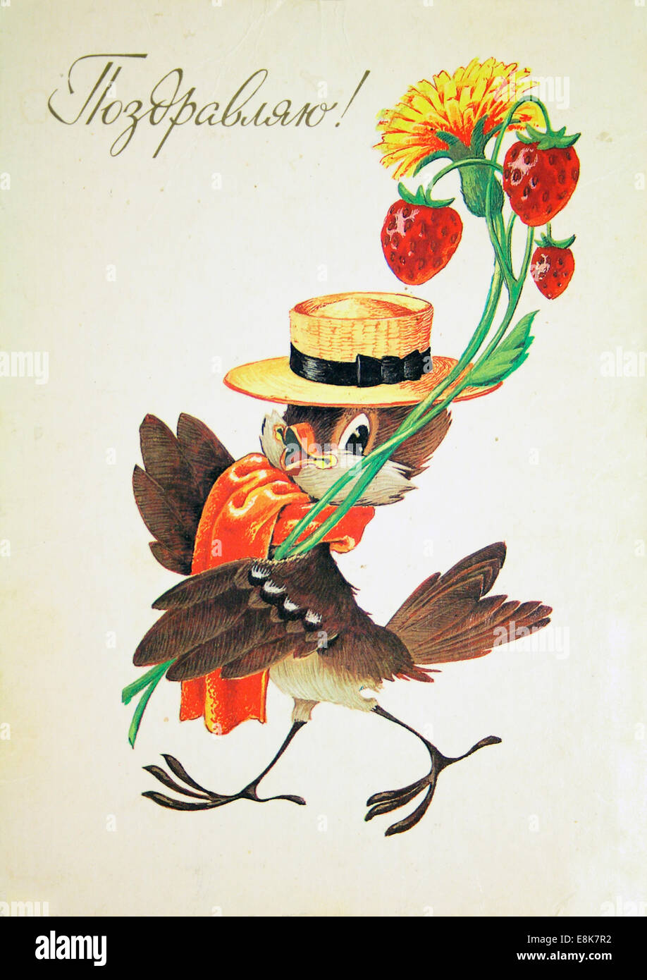 El 2 de diciembre de 2009 - Reproducción de una postal antigua muestra  pájaro en el sombrero con flores y fresas, circa 1987,  en ruso:  Saludos! © Igor Golovniov/Cable/ZUMA /Alamy Live