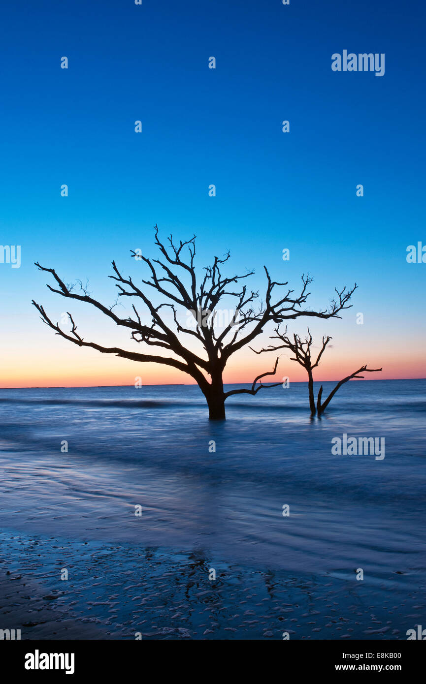 Ee.Uu., Carolina del Sur, Edisto Island, Botany Bay, Cementerio Playa del amanecer. Foto de stock