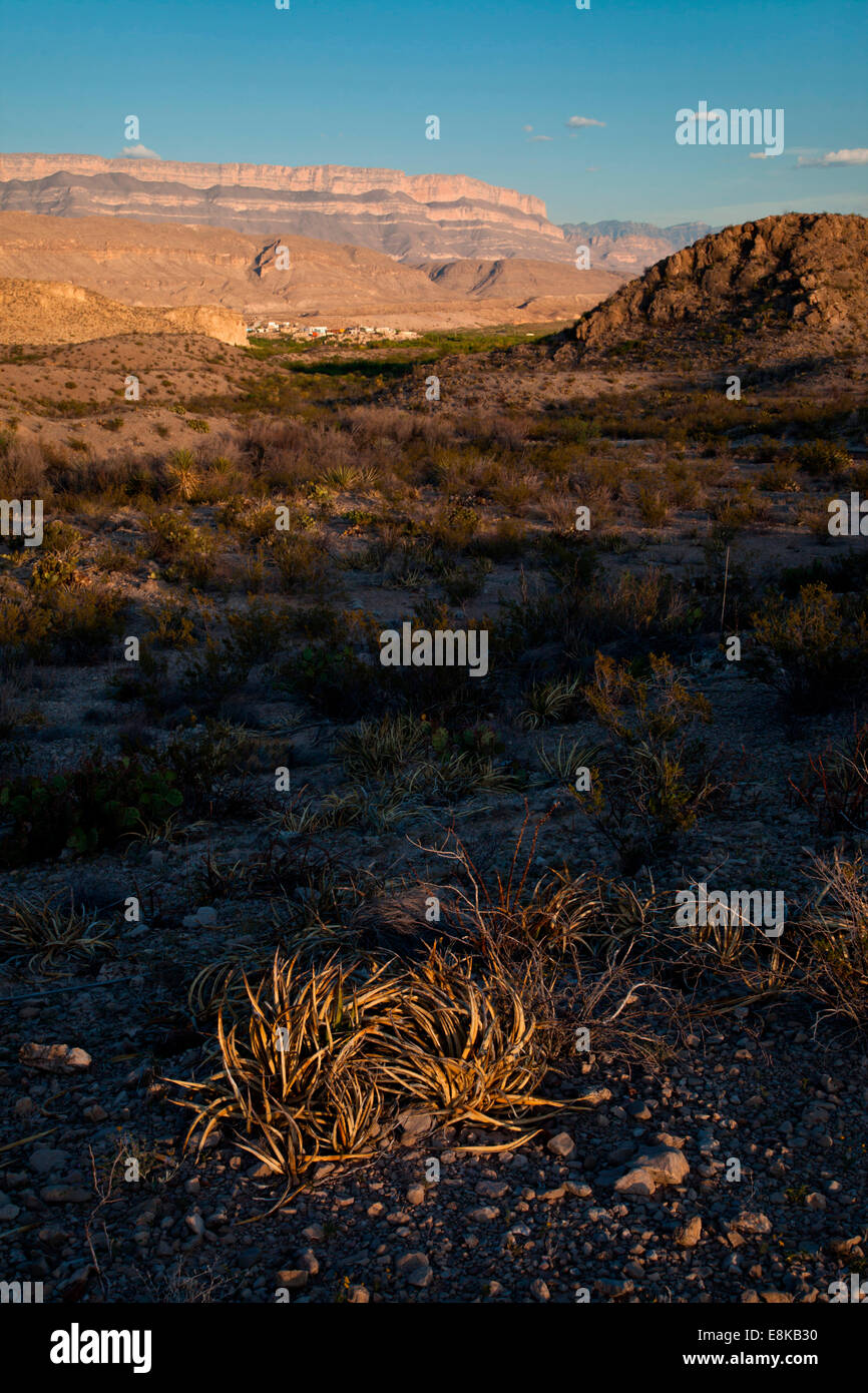 Boquillas Canyon rim y plantas del desierto al atardecer. Foto de stock