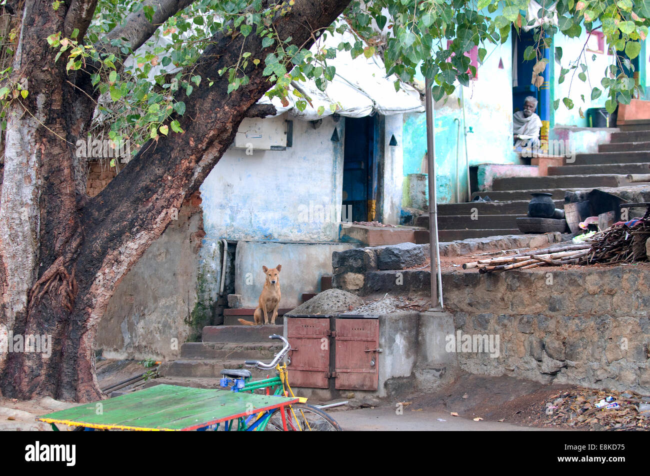 Aldea pintoresca escena en Tiruvannamalai con viejo hombre sentado en su puerta de lado con pasos que conducen a la colina Arunachala perro Foto de stock