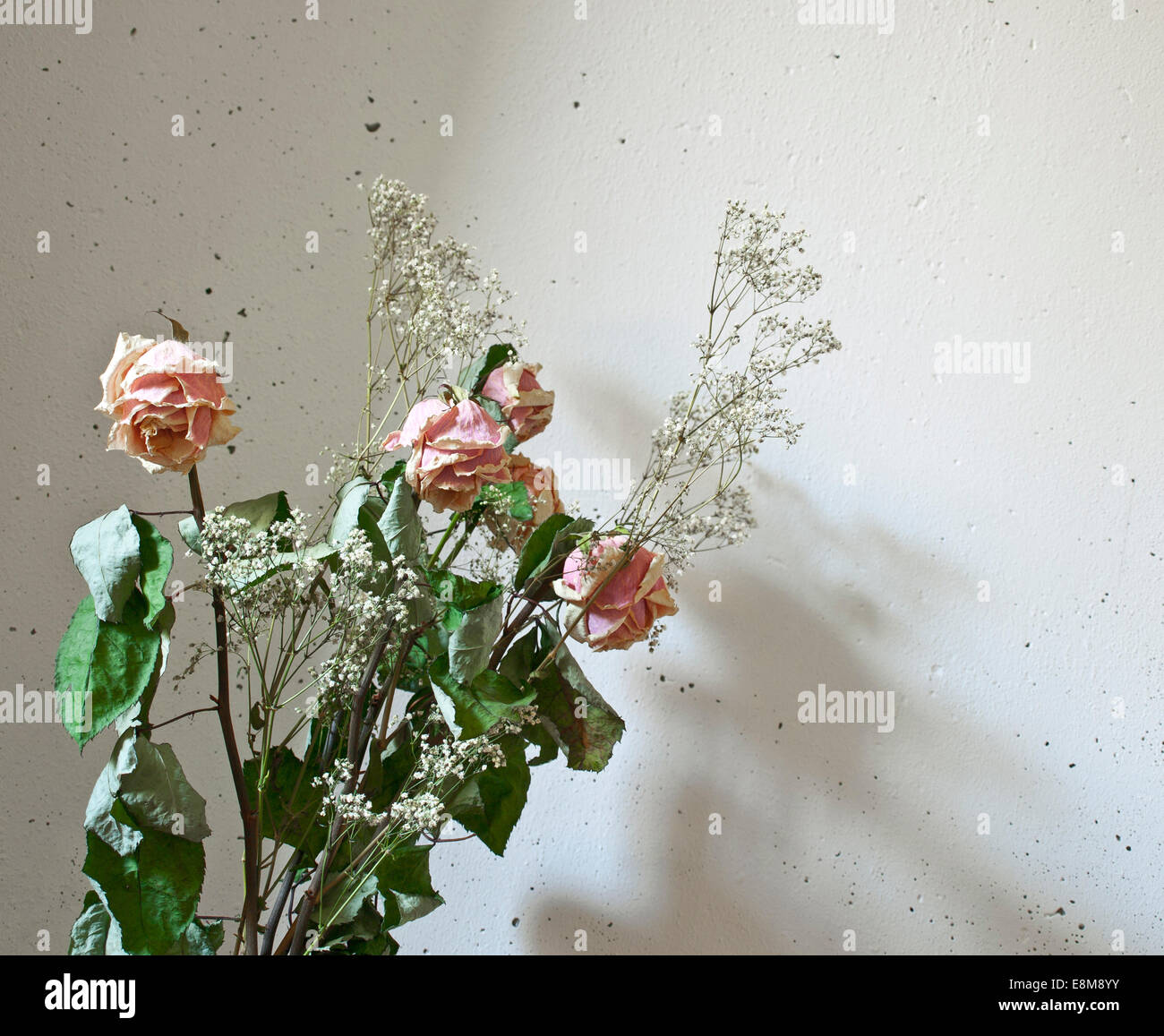 Ramo de flores muertas fotografías e imágenes de alta resolución - Alamy