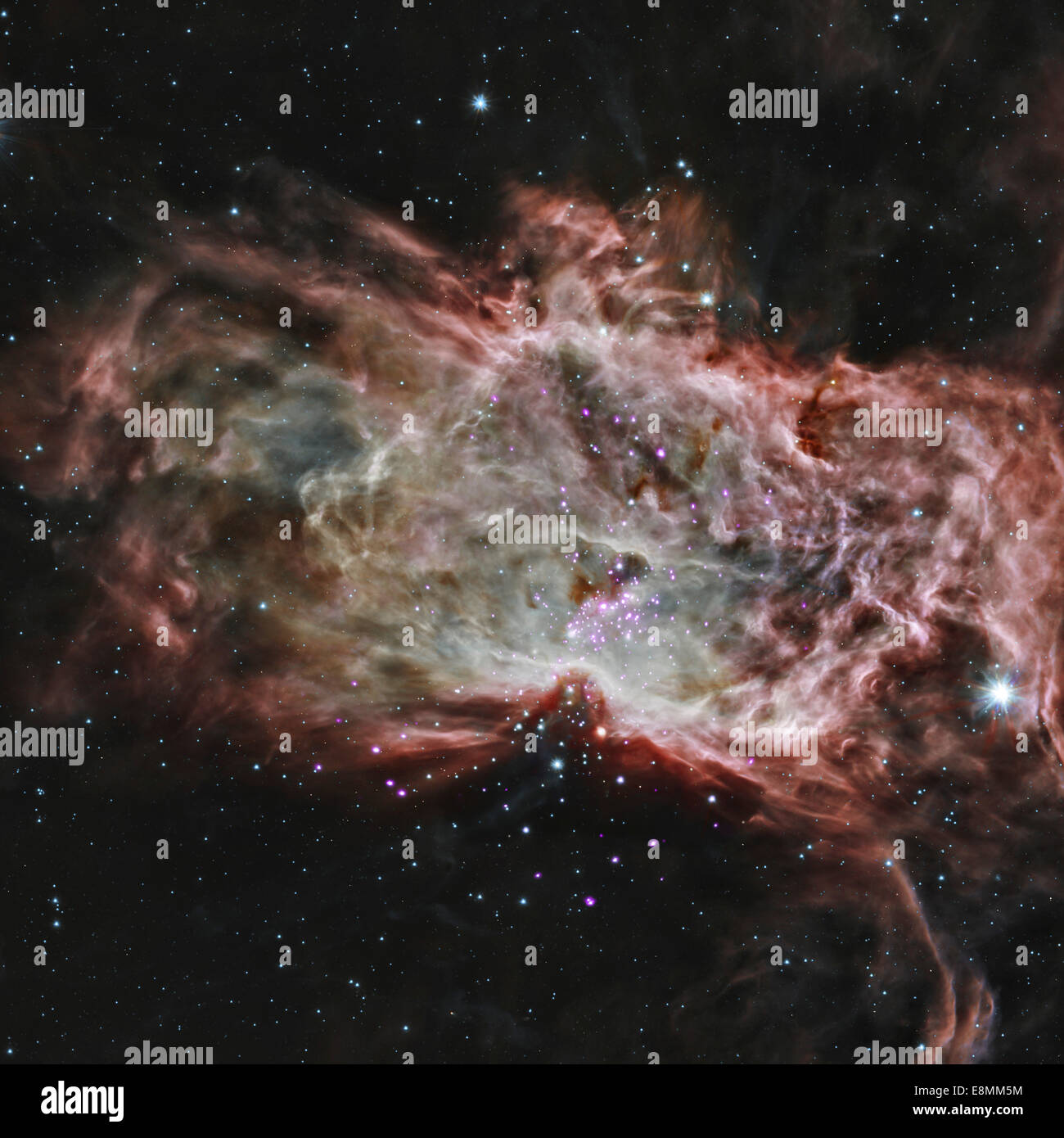 Esta imagen compuesta muestra racimos de estrellas NGC 2024 en el centro de la Nebulosa de la Llama sobre 1,4000 años luz de la tierra. Un stu Foto de stock