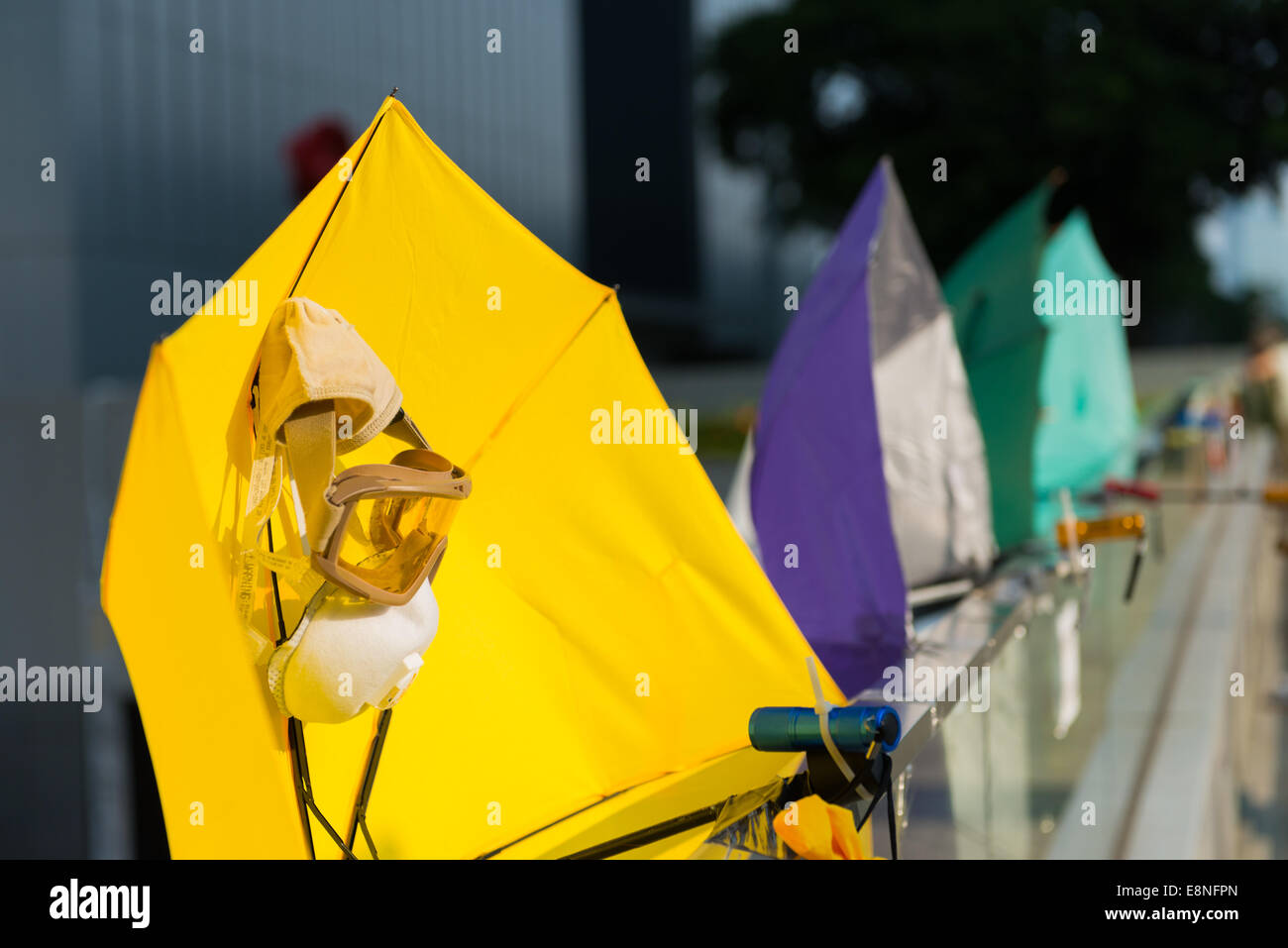 Hong Kong. El 12 de octubre de 2014. El 12 de octubre de 2014, Hong Kong protestas parasoles amarillos se han convertido en el símbolo de las protestas y de Hong Kong se encuentran en todo el Almirantazgo están incluidos en frente de las oficinas del gobierno en Tamar Admiralty. Estudiantes, activistas pro democracia y otros partidarios de ocupar el centro, que ahora se llama el paraguas paraguas de movimiento o de la revolución, se han tomado las calles en la zona ahora llamada Plaza de paraguas. Foto de stock