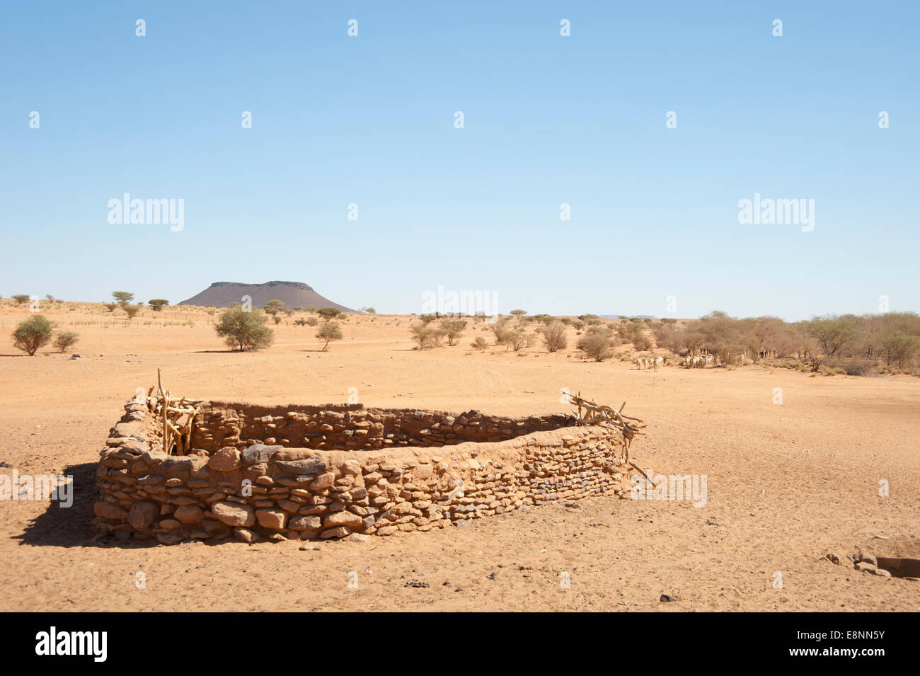 Un abrevadero en el desierto sudanés. Las tribus por millas de viaje para recoger Foto de stock