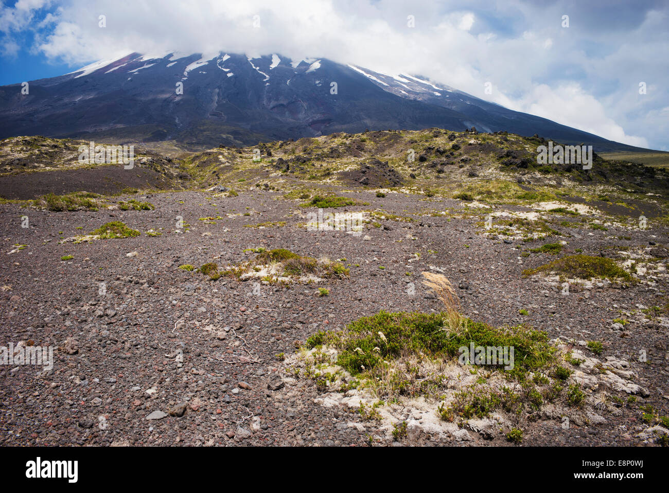 Camino de la desolación, el volcán Osorno, Chile, Sudamérica. Foto de stock