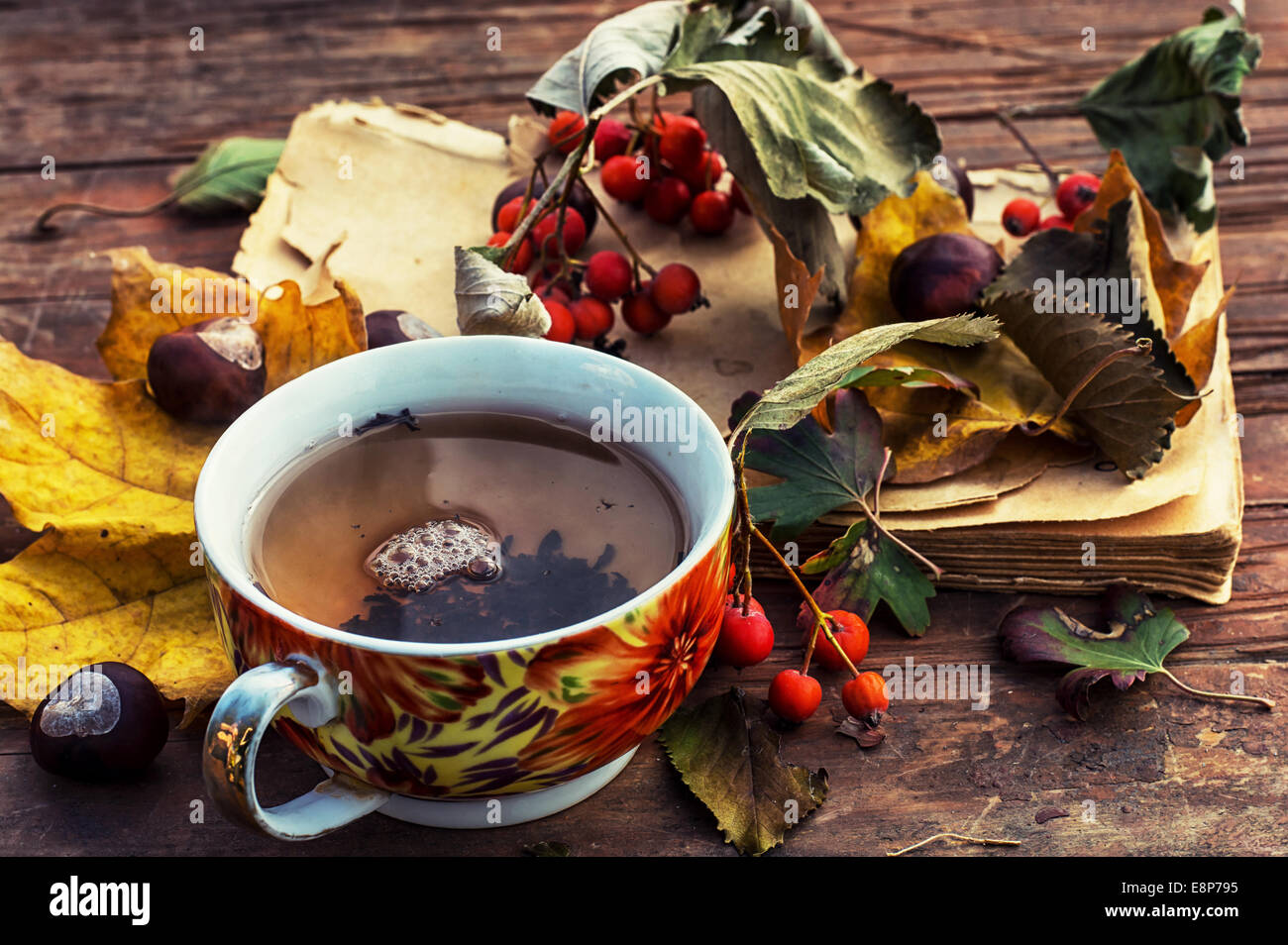 Calienta-tazas de té de otoño en clima frío Fotografía de stock