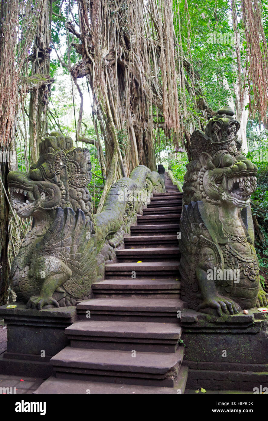Puente de Piedra Monkey Forest Ubud, Bali, Indonesia Foto de stock