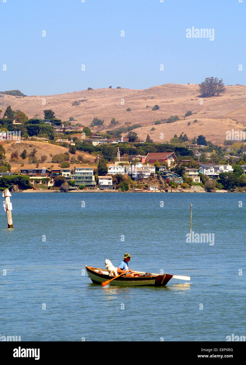 Hombre filas botes con perro sentado delante de Richardson Bay en el condado Marin, California Foto de stock