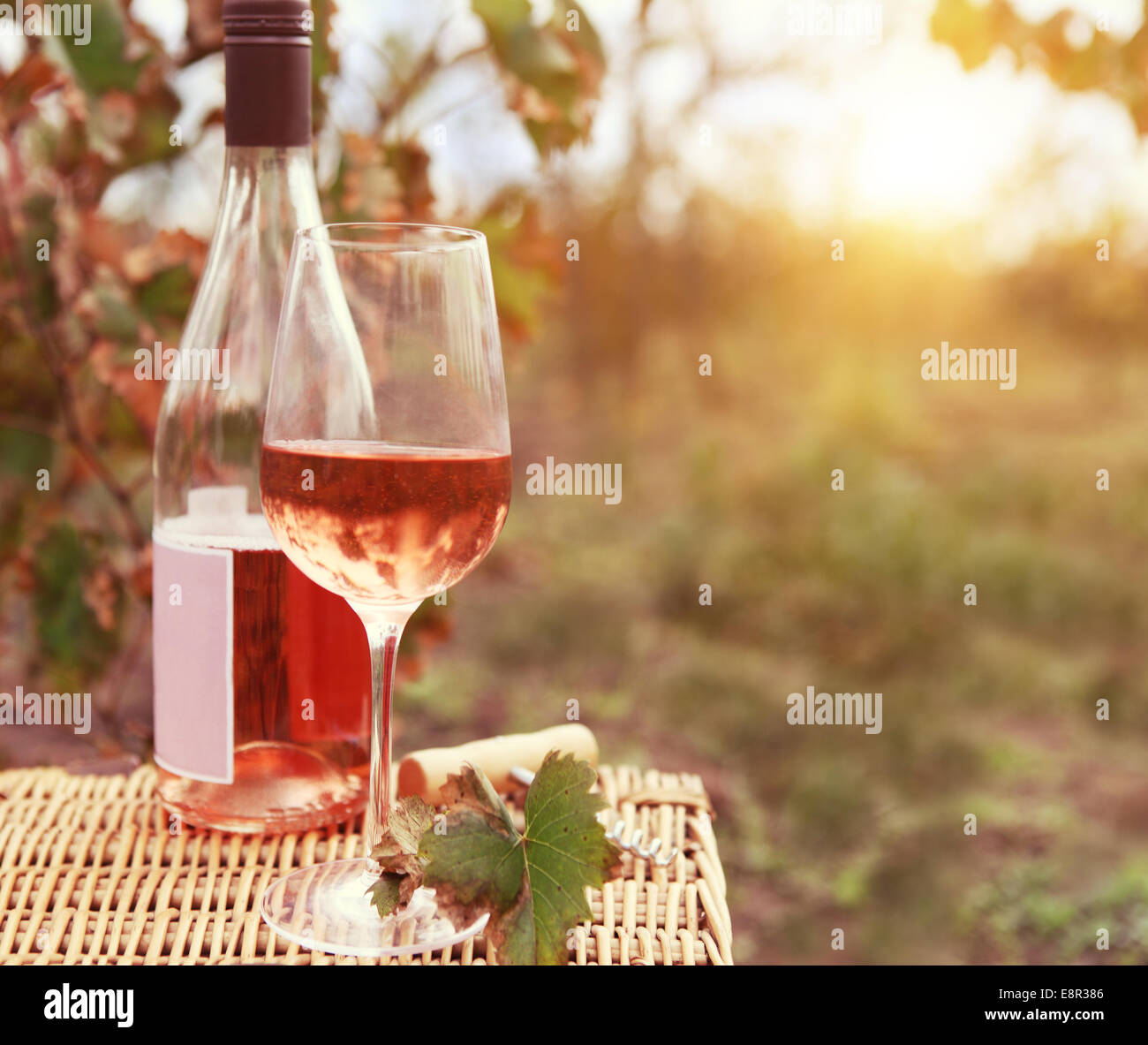 Una copa y una botella de vino rosado en otoño del viñedo. Tiempo de cosecha Foto de stock
