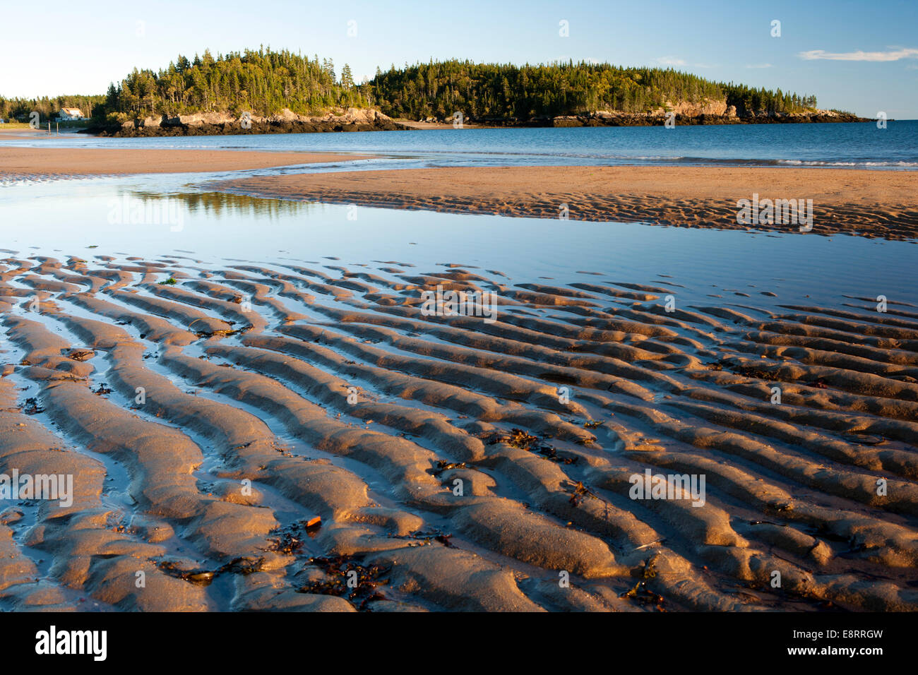 Zona intermareal en la playa de New River Provincial Park - Nueva playa fluvial, New Brunswick, Canadá Foto de stock