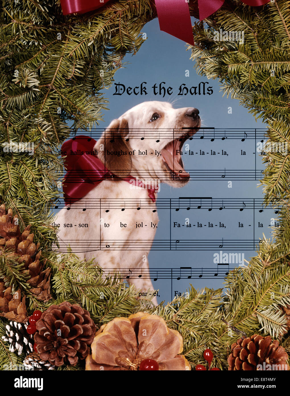 Singing puppy dog fotografías e imágenes de alta resolución - Alamy