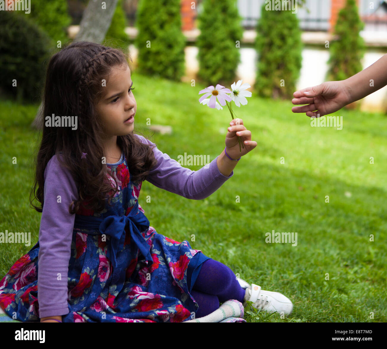 La mano del niño regalar flores a su amiga Foto de stock