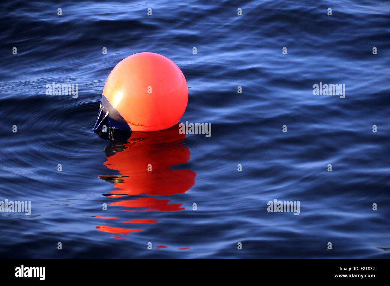 Boya en agua fotografías e imágenes de alta resolución - Alamy