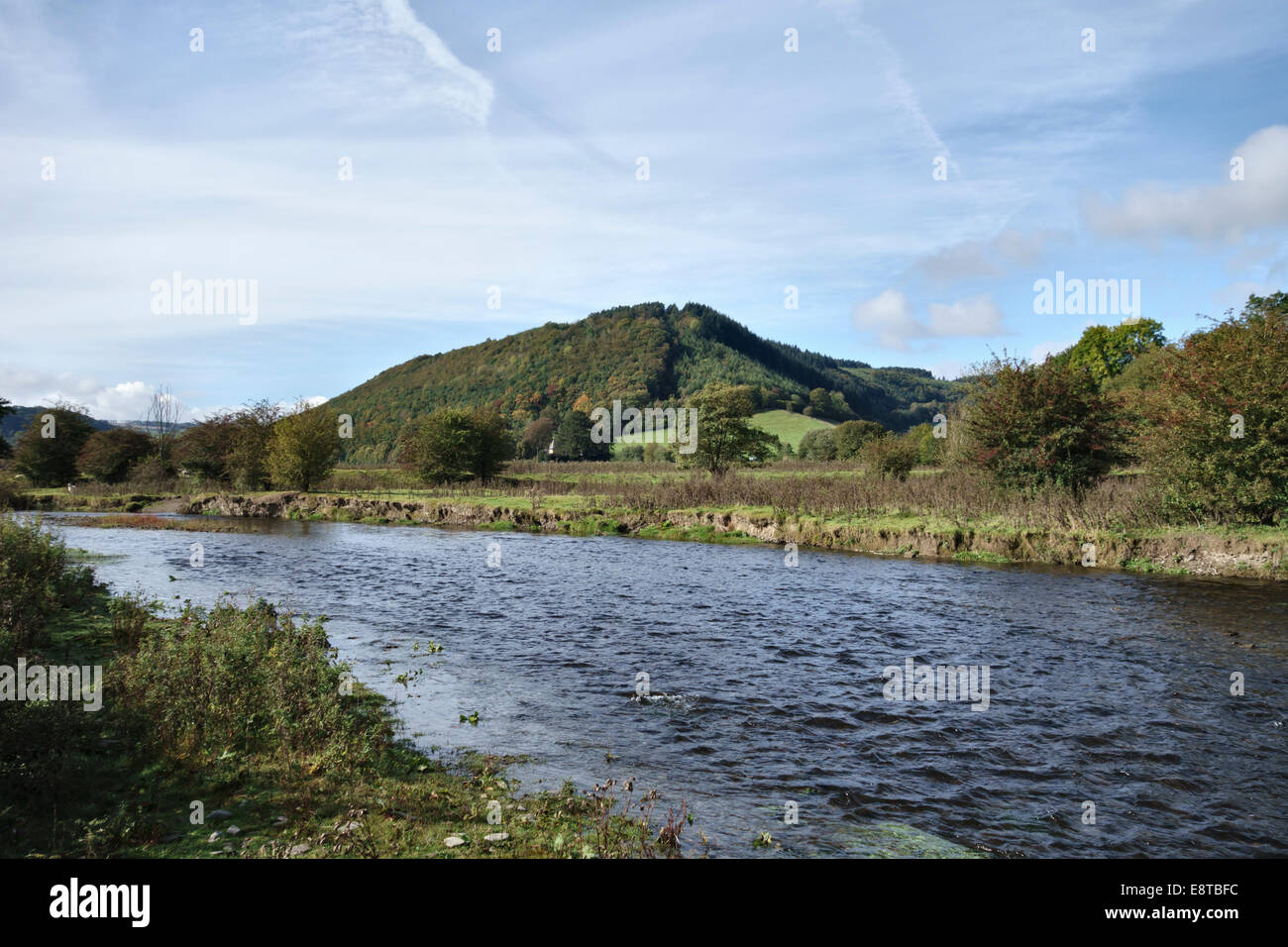 Campo cerca de Knighton, Powys, Reino Unido, donde el río Teme forma la frontera entre Gales (Powys) e Inglaterra (Shropshire) Foto de stock