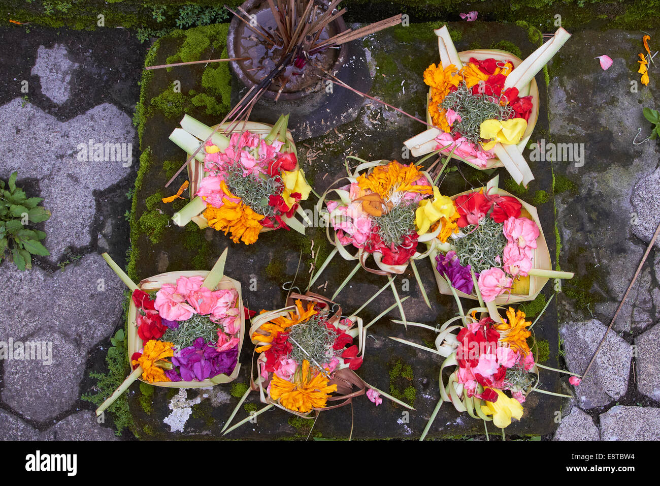 Cerca de bandejas de flores Foto de stock