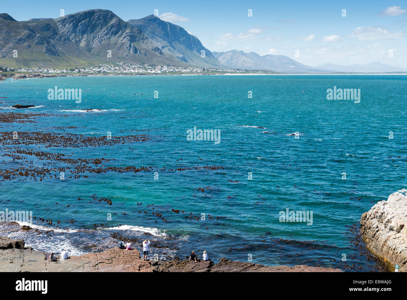 Pueblo peregrino, observación de ballenas en la bahía de Hermanus, Western Cape, Sudáfrica Foto de stock