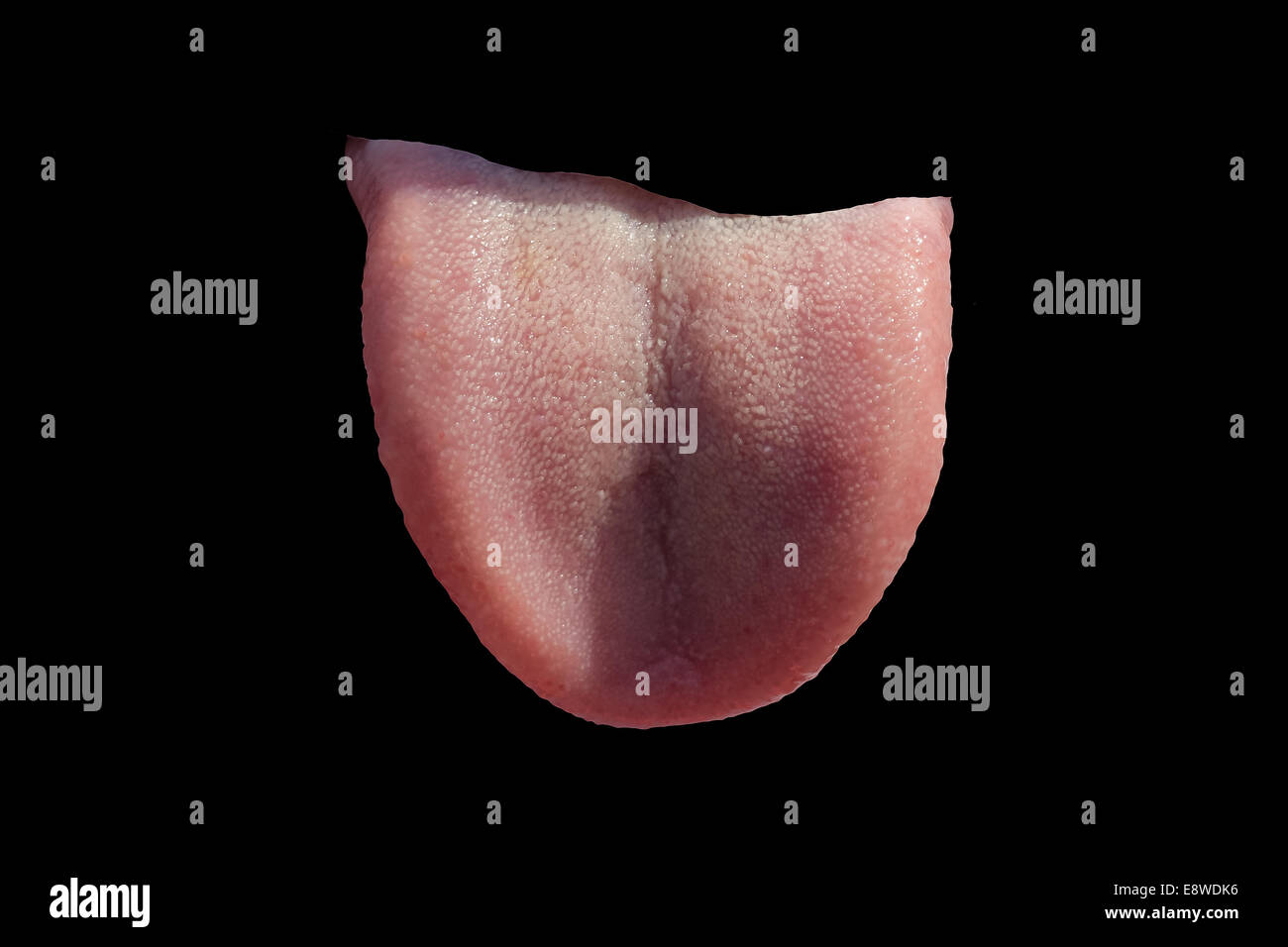 Lengua humana puso fuera a través del agujero en la superficie negra. Gracioso dibujo abstracto Foto de stock