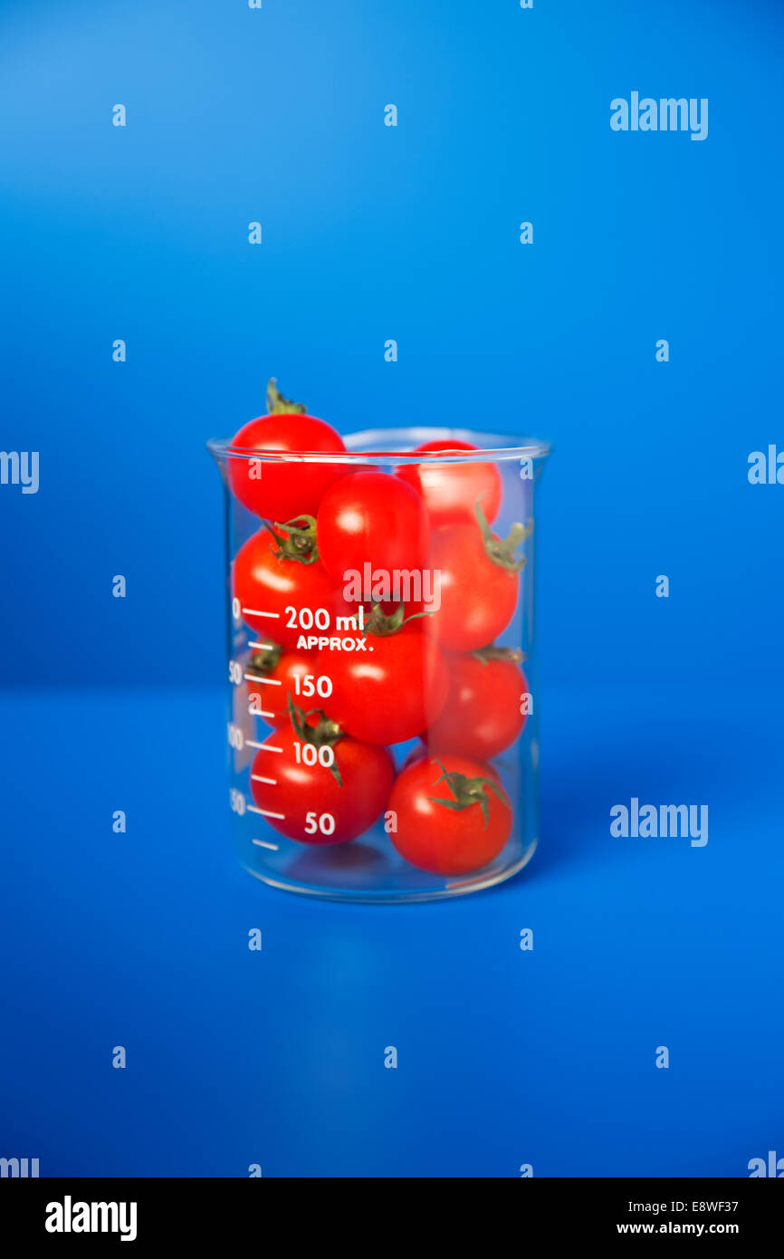 Vaso de pequeños tomates de contador azul Foto de stock