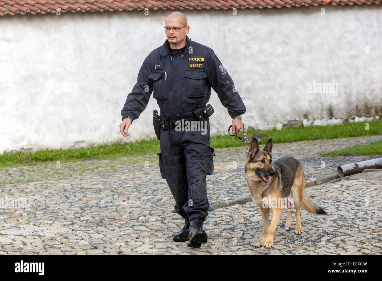 La policía Checa con un perro, un pastor alemán, controla objetos Foto de stock
