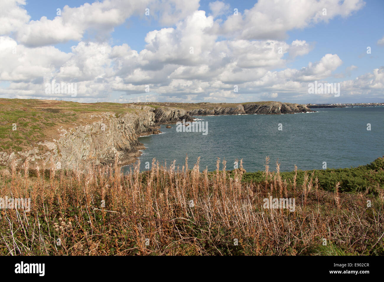 El Wales ruta costera en el norte de Gales. Vista pintoresca de la ruta costera en la costa sudoeste de la isla de Anglesey' Santo. Foto de stock