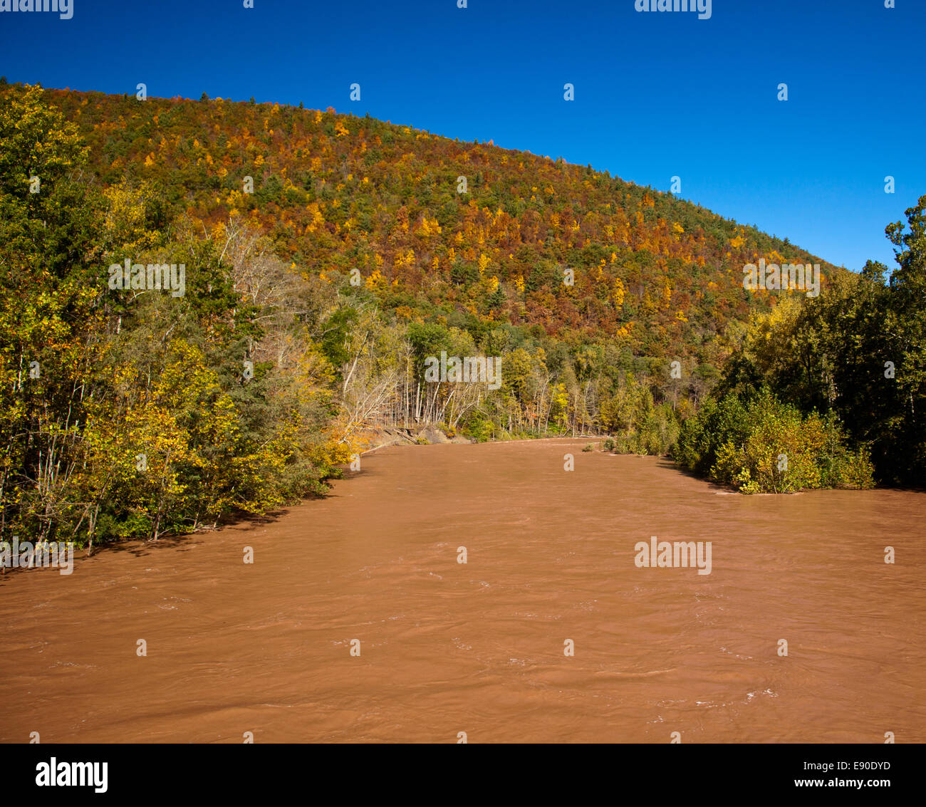 Raging río inundado Foto de stock