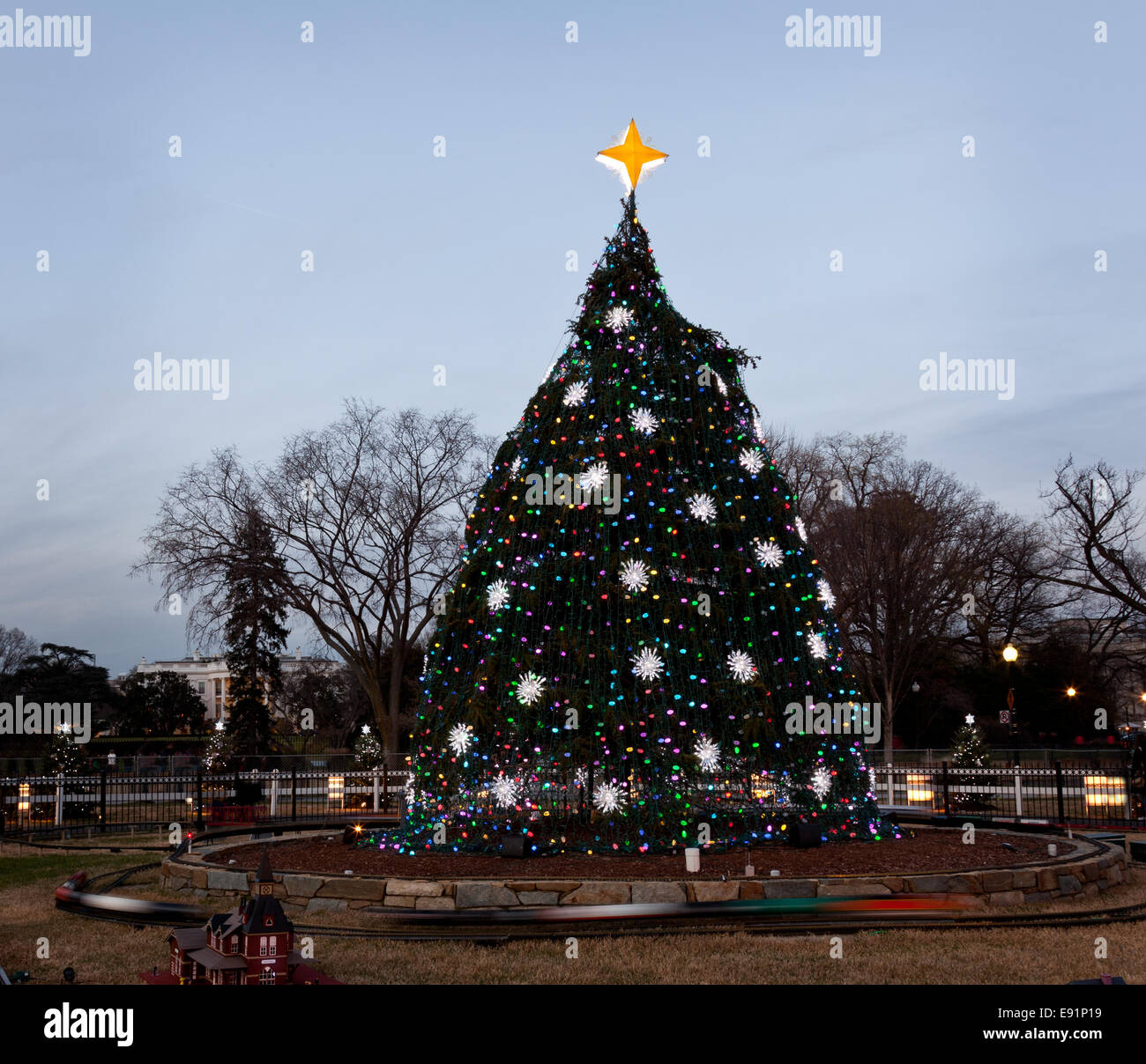 Árbol Nacional de Navidad en DC Foto de stock
