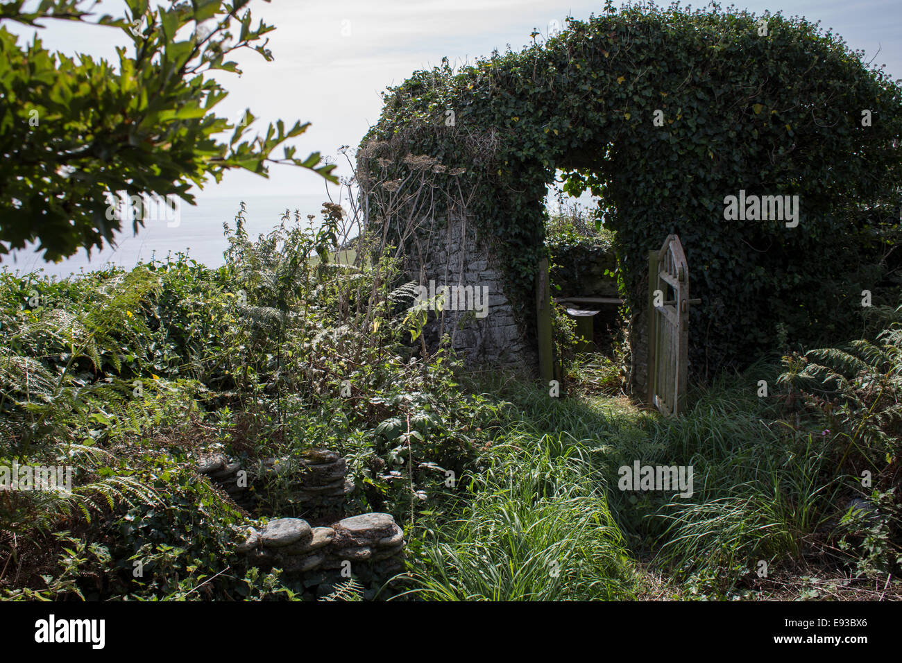 El country garden destartalada a Peter Webber's hut en East Prawle, Devon Foto de stock