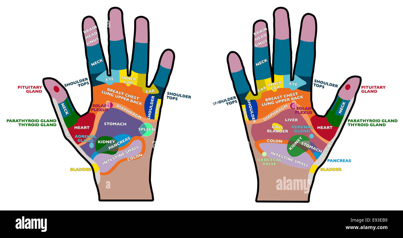 Reflexología de manos de bolsillo, la salud, el masaje de espalda  Fotografía de stock - Alamy