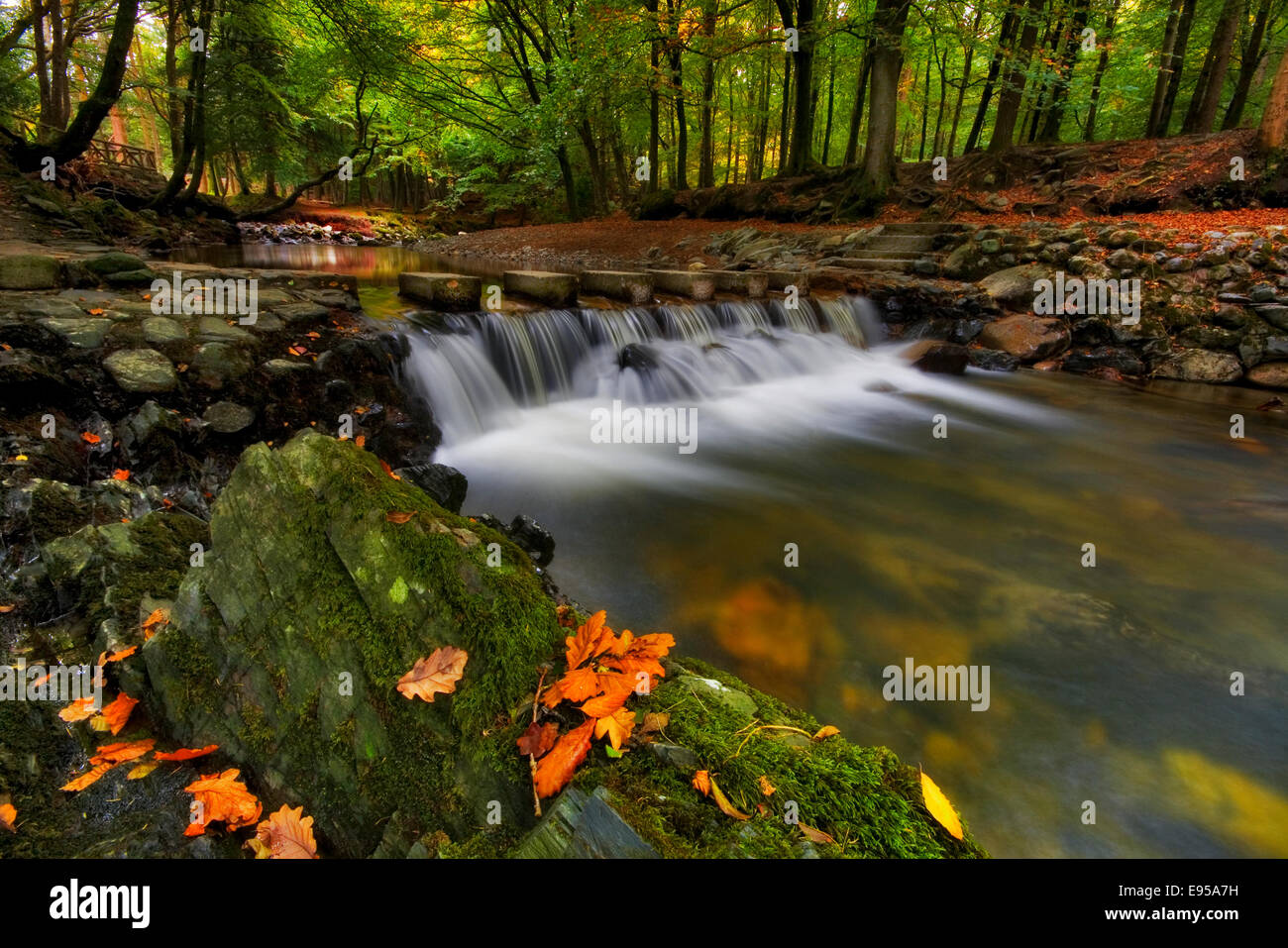 El otoño es aquí Foto de stock