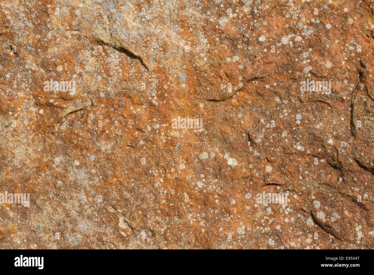 Cara de la roca del fondo con color rojo oxidado y manchas de líquenes Foto de stock