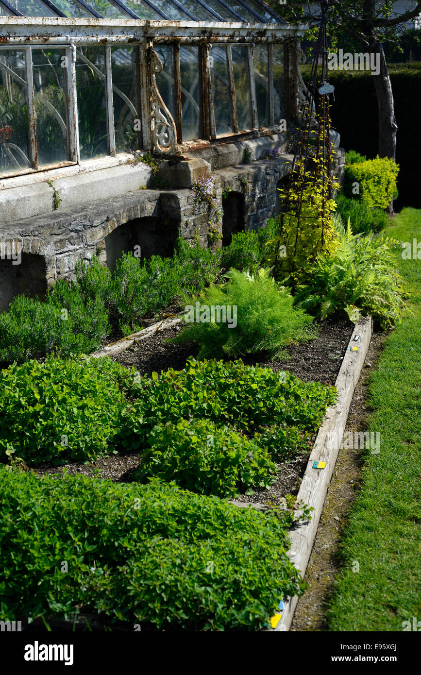 Elevar la cama levantada invernadero fronteriza farmleigh jardines Parque Phoenix Dublín Foto de stock