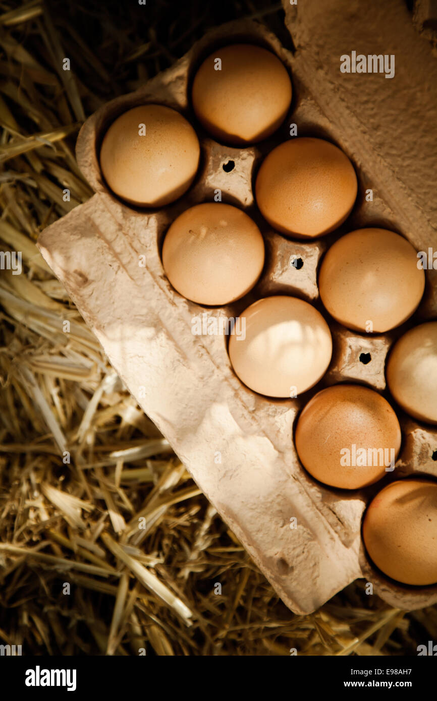 Ángulo alto cerca de Brown los huevos de pollo en un cartón paja Foto de stock
