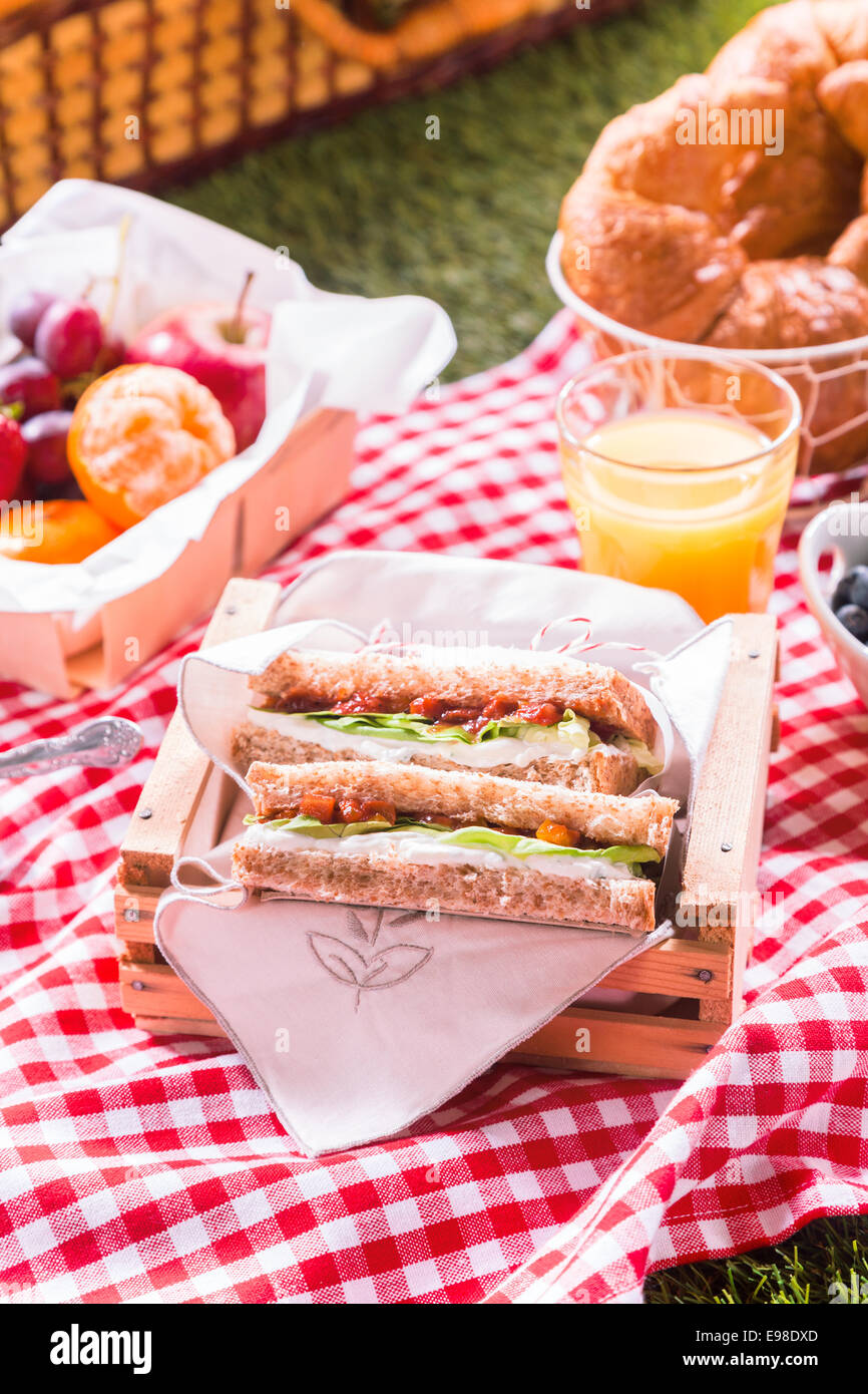 Picnic de verano saludable propagación ensalada con queso y bocadillos, fruta fresca, zumo de naranja y croissants en un paño rojo y blanco sobre la hierba Foto de stock