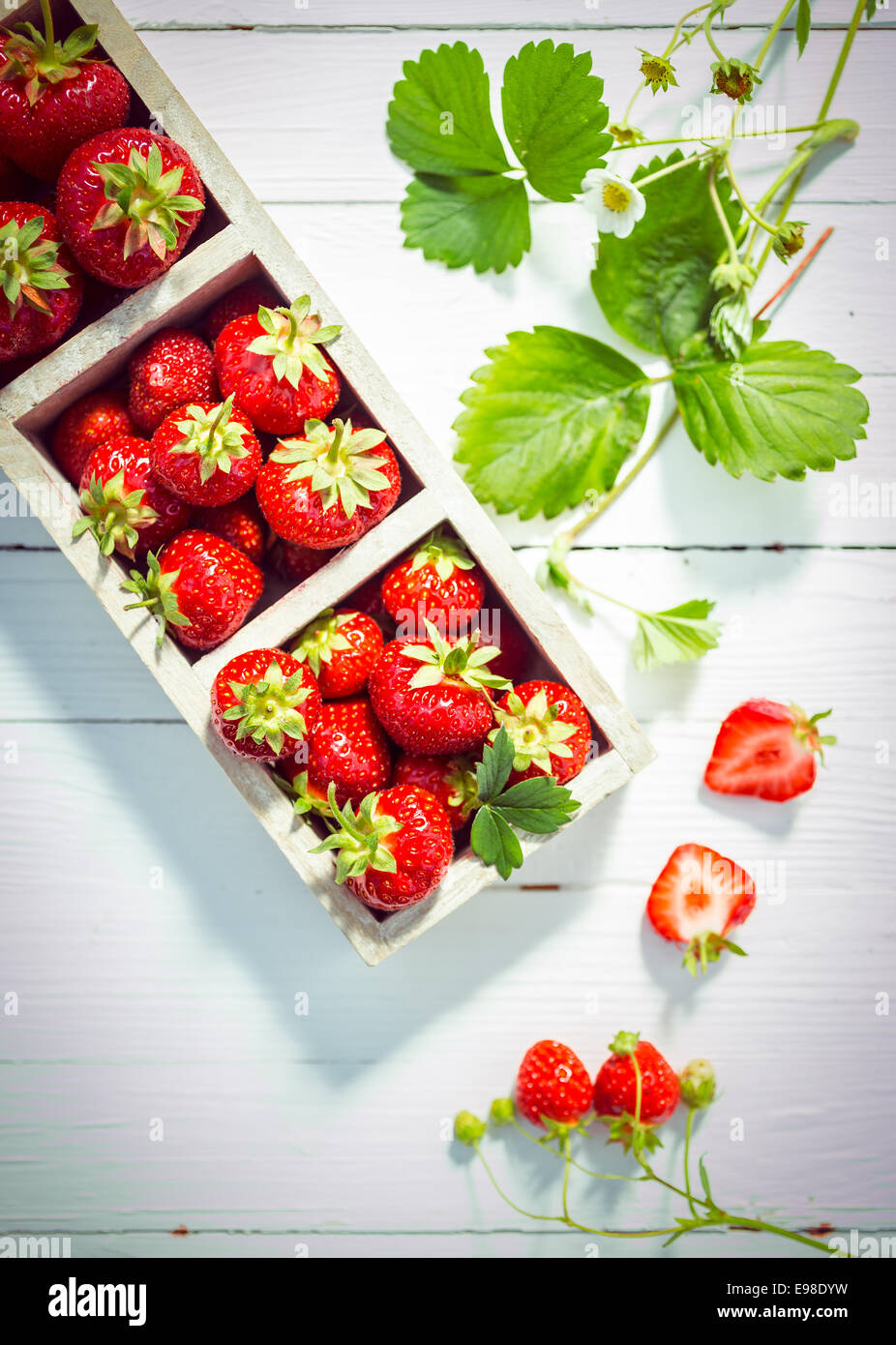 Visualización de deliciosas fresas rojas maduras en cajas de madera pintadas en blanco con placas verdes hojas frescas y flor y mitad berry mostrando la carne jugosa, vista desde arriba Foto de stock