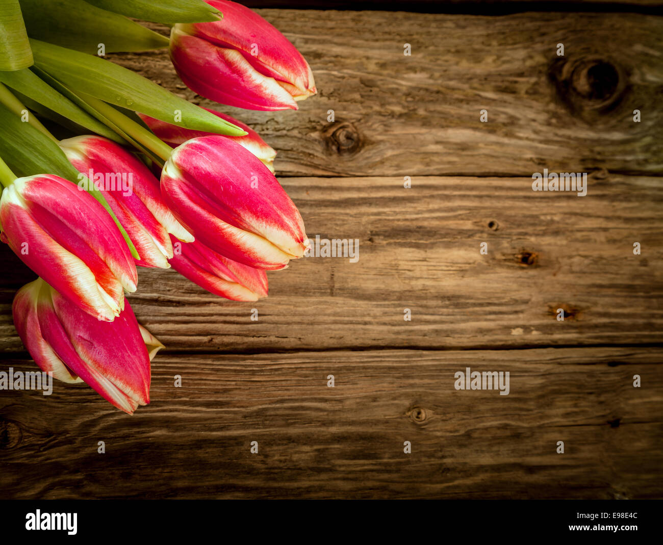 Antiguo madera desgastada con fondo rojo fresco tulip decoración de un ramo de flores en la esquina con copyspace Foto de stock