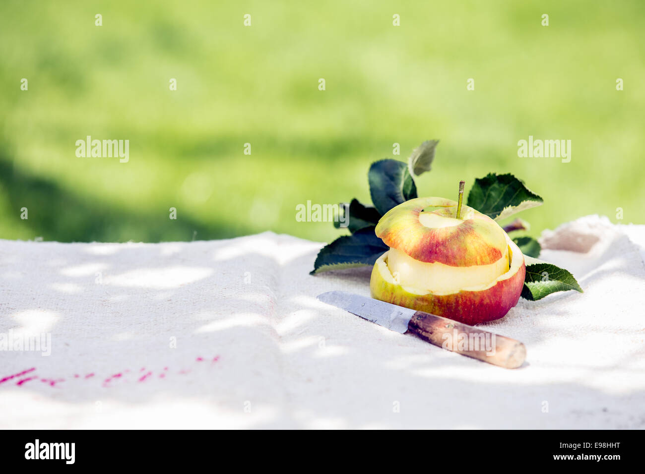 Hogar saludable crecido manzana pelada con su piel y un cuchillo para pelar bien afilado sobre una mesa de jardín en tonos sol de verano con copyspace contra un césped verde Foto de stock