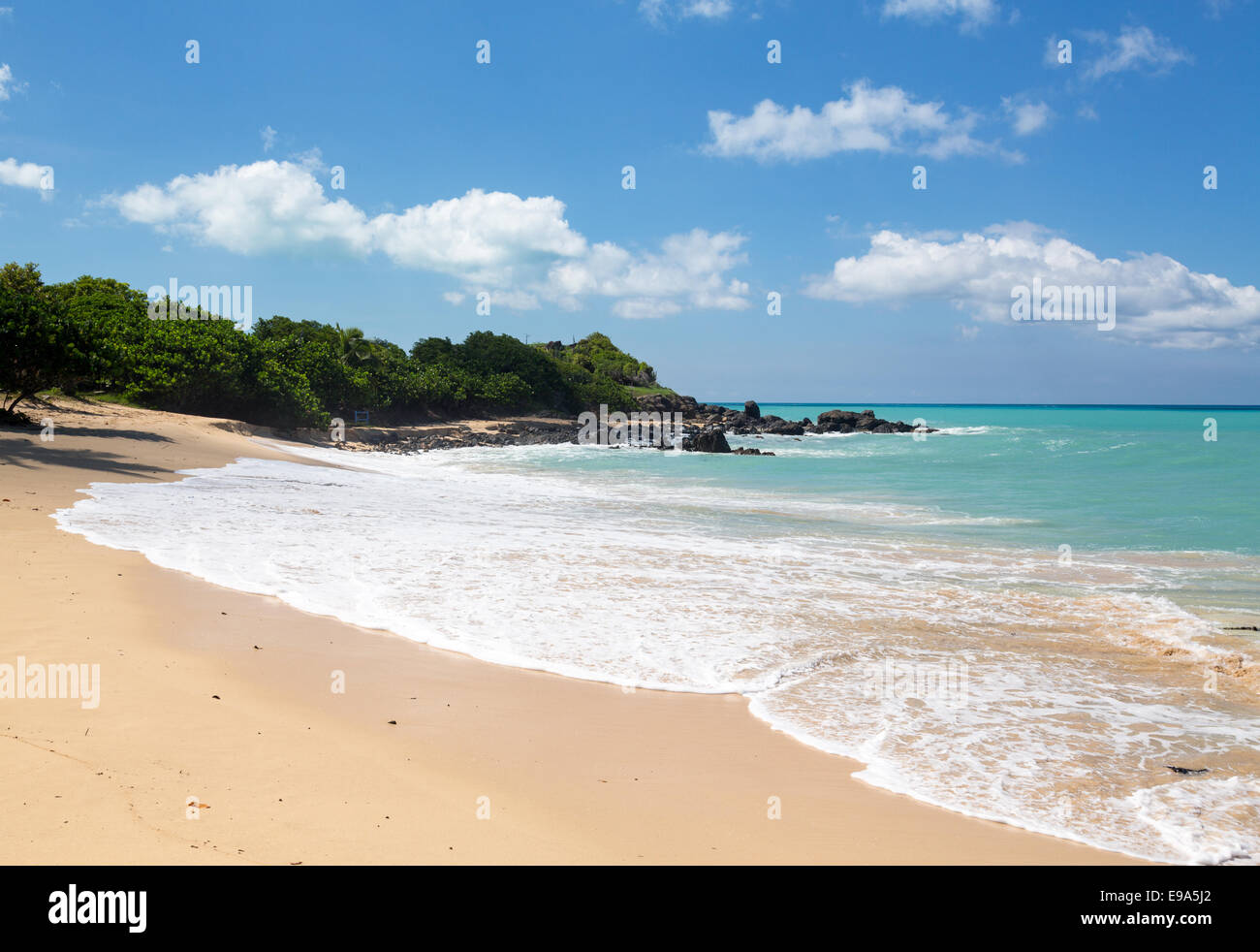 Feliz de la costa de la Bahía de St Martin Caribe Foto de stock