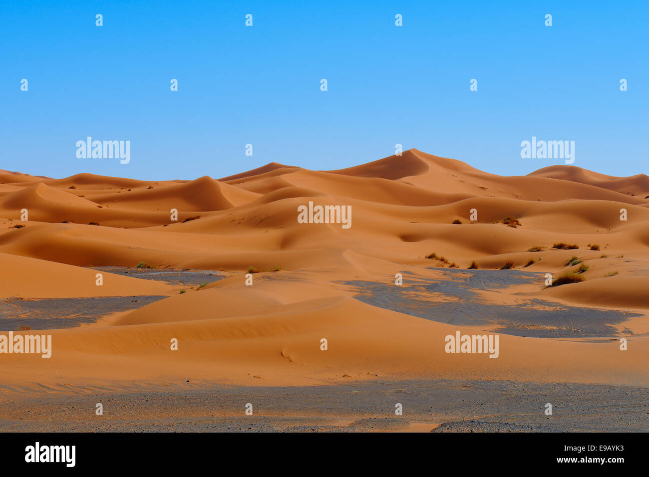 Dunas, Erg Chebbi, Merzouga, Desierto del Sahara, Marruecos Foto de stock