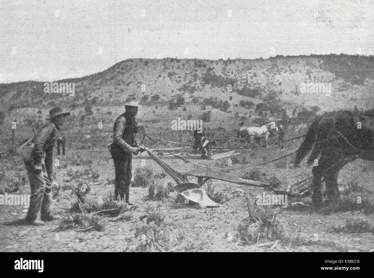 Sin perder el tiempo - edificio de colonos y arar a las 12:02 (2 minutos después de la apertura de la reclamación) Reserva de Ute en el Sur de Colorado a la liquidación, 1899 Foto de stock