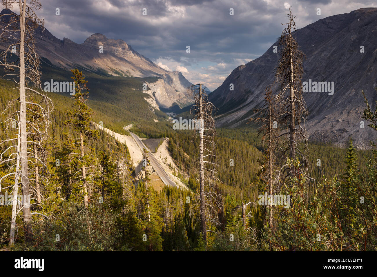 La vista de la carretera Icefields Parkway, ya que atraviesa el Parque Nacional Banff, Alberta, Canadá. Foto de stock