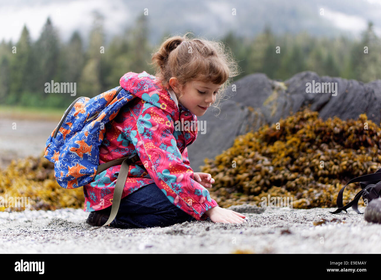 Niña jugando en la playa, playa de arena área recreativa, Petersburg, Alaska Foto de stock
