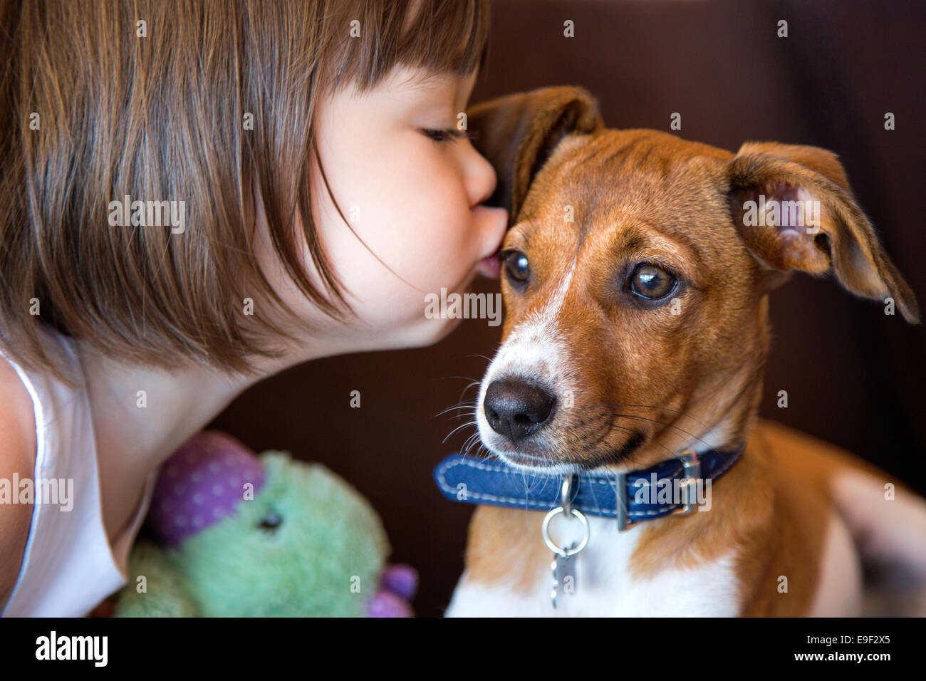 Niño Niña besando a su cachorro Foto de stock