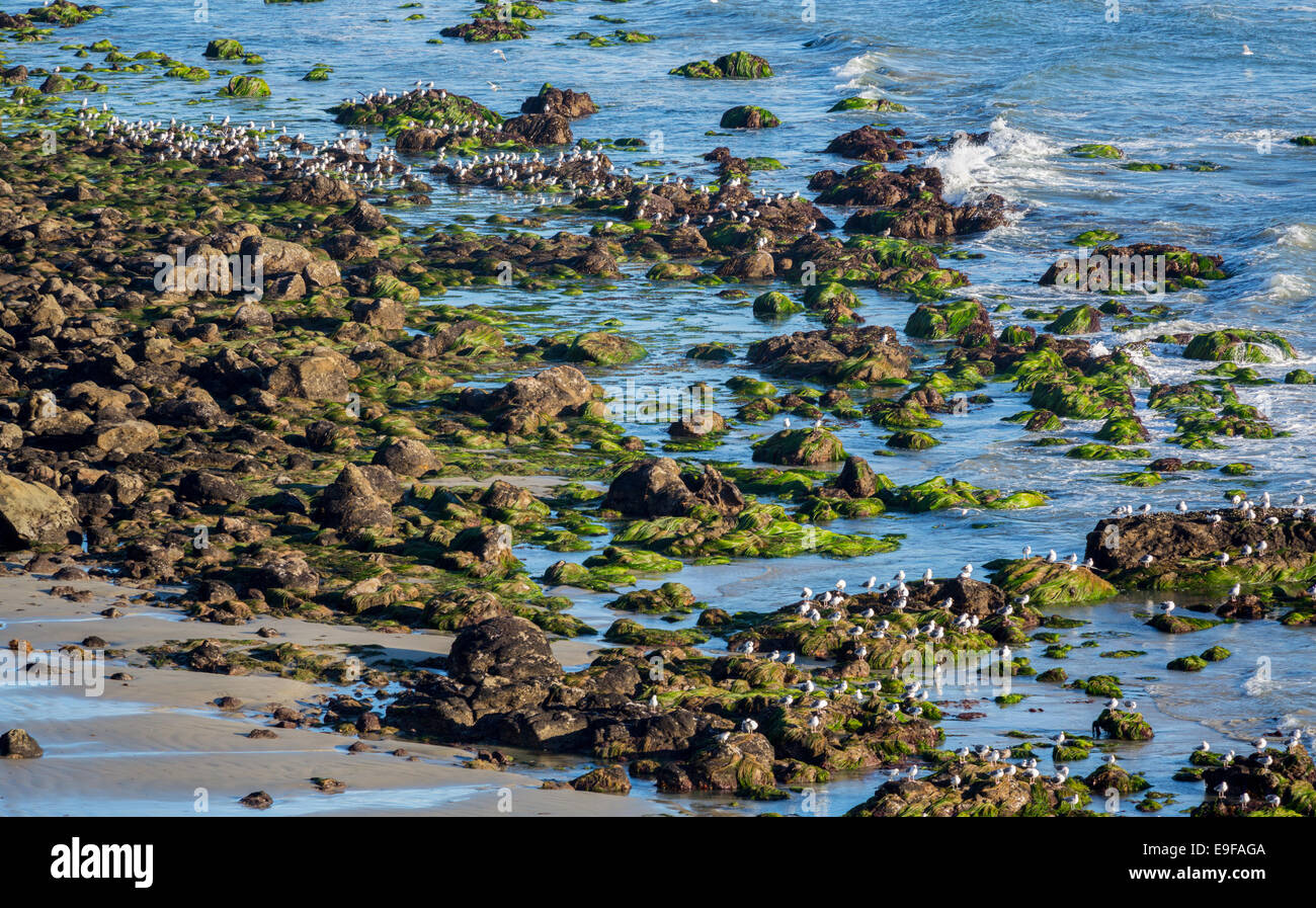 El Matador State Beach California Foto de stock