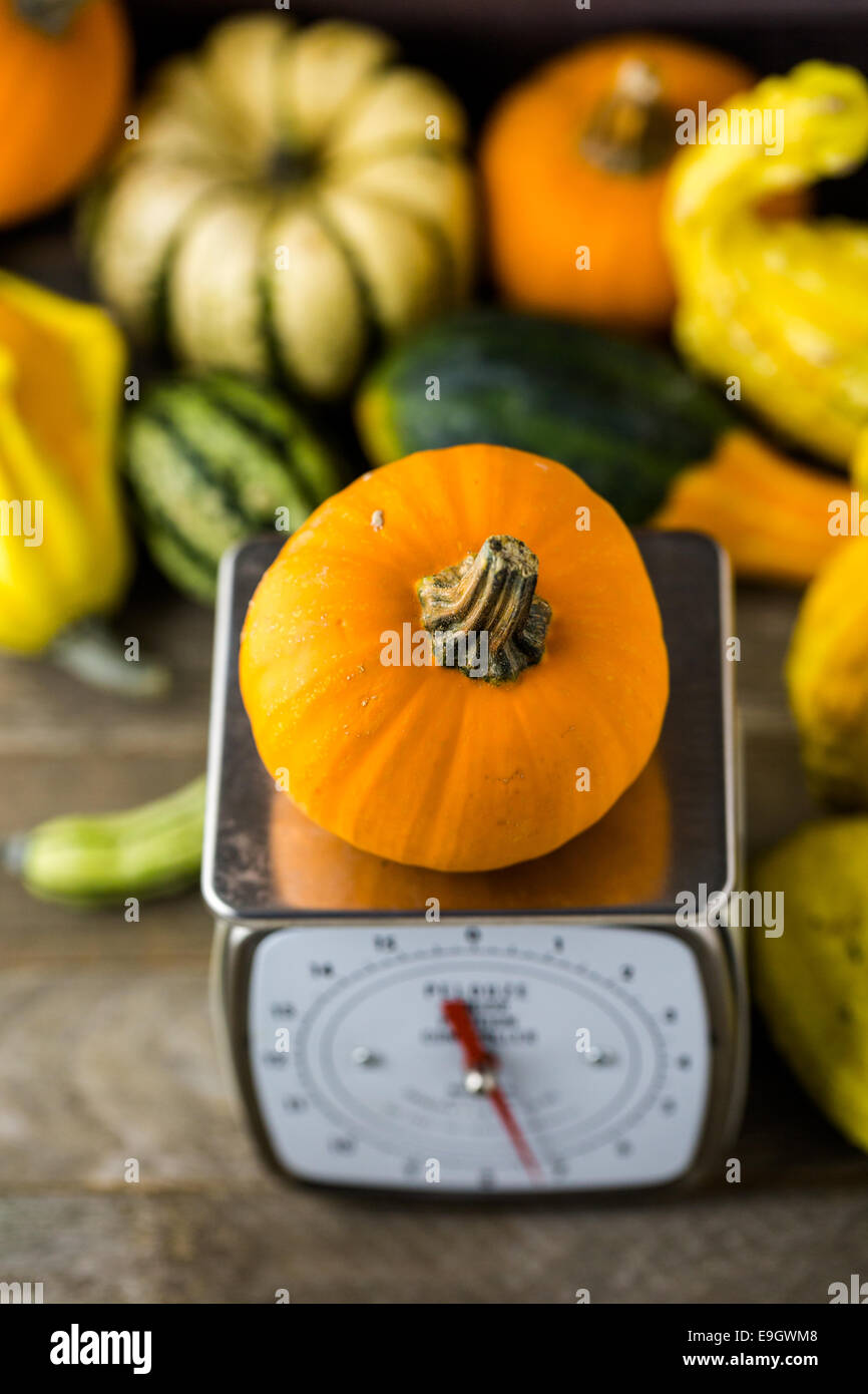 Como Secar Una Calabaza Para Hacer Un Recipiente Secar de calabazas recipiente fotografías e imágenes de alta resolución -  Página 2 - Alamy
