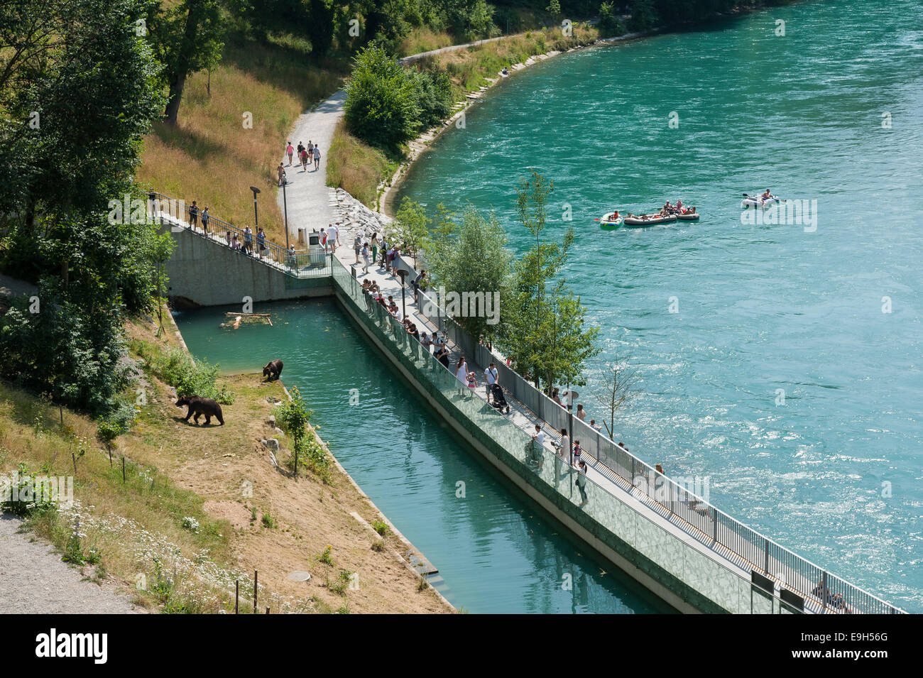 Fosa de los osos de Berna Bear parque sobre el río Aar o el río Aare,  Berna, Cantón de Berna, Suiza Fotografía de stock - Alamy