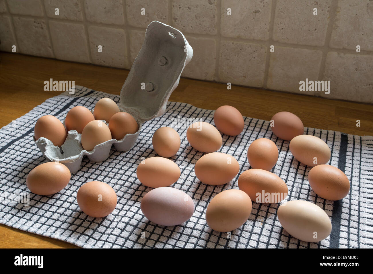 Recién lavados free range huevos de gallina de secado en un paño antes de  ser colocadas en cajas hechas de papel reciclado Fotografía de stock - Alamy