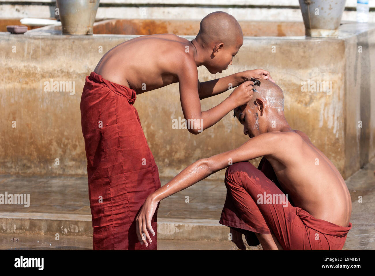Los monjes novicios durante un afeitado la cabeza en el monasterio Shwe Kyaung Yaunghwe, cerca de Nyaungshwe, el Estado de Shan, en Lago Inle, Myanmar Foto de stock